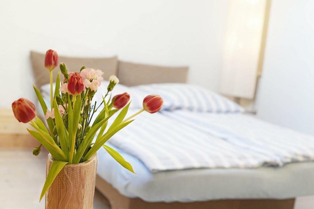 Dom Coacha I Mentora Apartment *